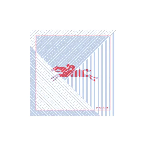 LONGCHAMP Вязаные шарфы Женские Blue