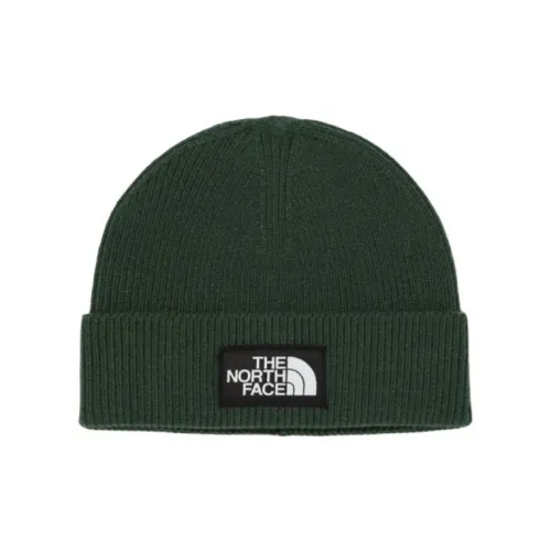 THE NORTH FACE Акриловые полиуретановые шапки-бини унисекс зеленые