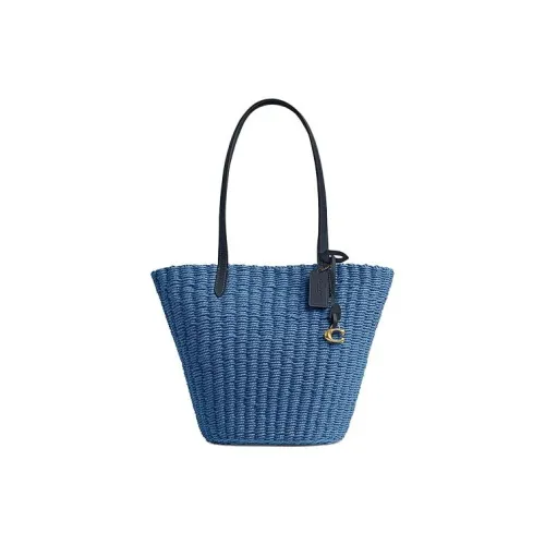 COACH Солома Естественный Растительный Основанный с Коровьей Кожей Тоут Сумка Сумка для покупок Маленькая Женская Синяя