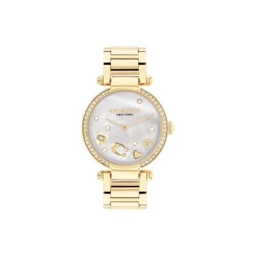 Часы Coach Cary European US циферблат из искусственного хрусталя с гипсофилой кварцевый механизм стальной ремешок