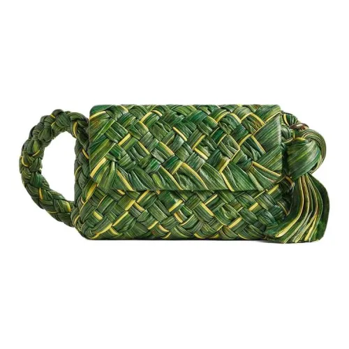 Bottega Veneta Телячья кожа Сумка на плечо Женская Морская трава Цвет