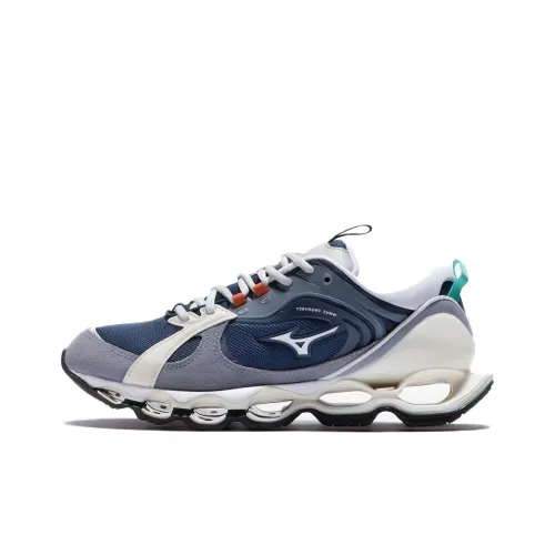 Mizuno Wave Prophecy 2 Casual Низкий Топ Синий Серый Мужской