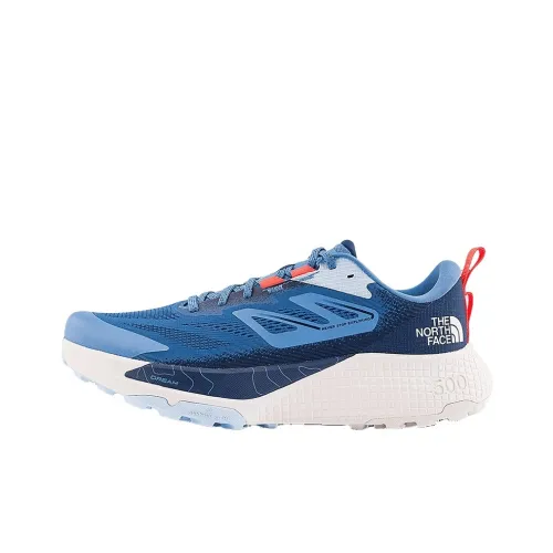 THE NORTH FACE Altamesa 500 Беговые кроссовки Низкий топ Синий Белый Мужской