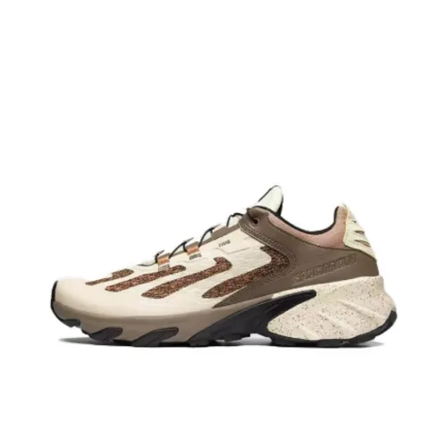 Salomon Collaboration Speedverse Повседневный Низкий Топ Серый Бежевый Унисекс