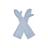 Ледяная синева