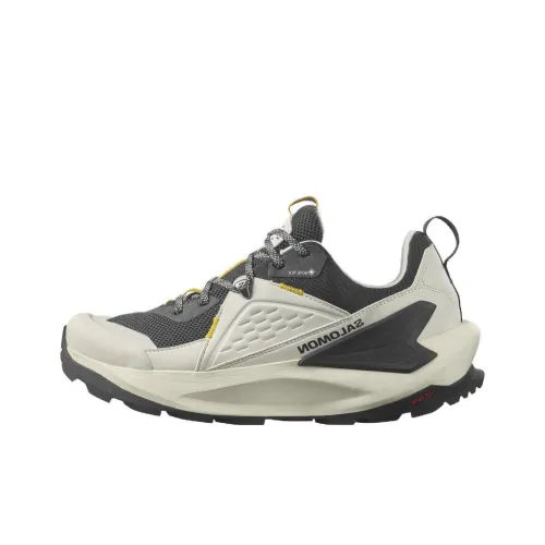 SALOMON Elixir Slip-Resistant Низкий Топ Уличная Обувь Мужская Бежевый Черный