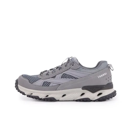 TRANOI Troy Low Топ Повседневная обувь Мужская Серый