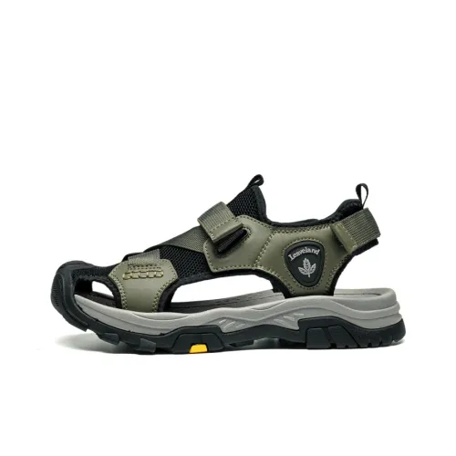 LEAVELAND Горная обувь для мужчин