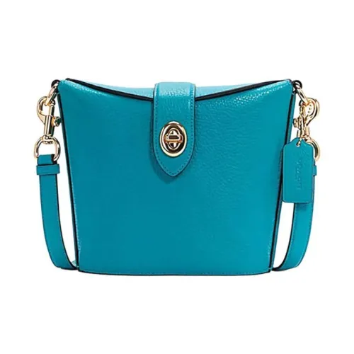 COACH Addie Кожа Коробка Сумка Картофель фри Сумка Сумка через плечо Стандартная Женская Сапфир Зеленый