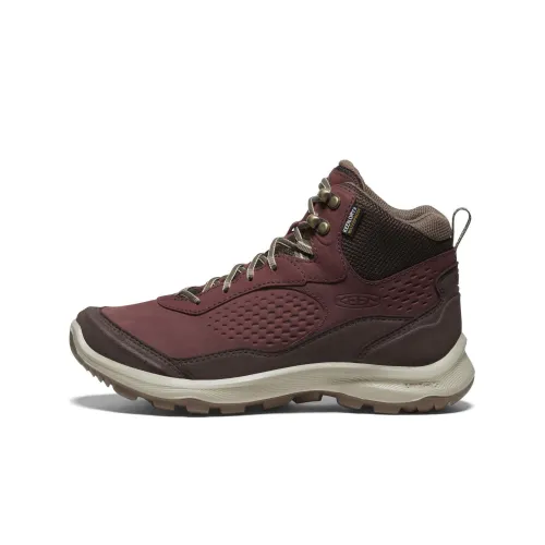 KEEN TERRADORA EXPLORER MID Устойчивый к истиранию Амортизаторы Высокий Топ Outdoor Женские Красный Коричневый