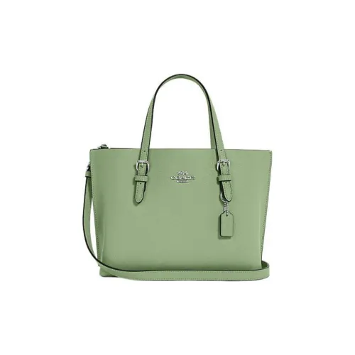 COACH Mollie Коровья кожа Тоут Сумка Сумка для покупок Двойная сторона Сумка на одно плечо Средний размер Женская Травяной зеленый
