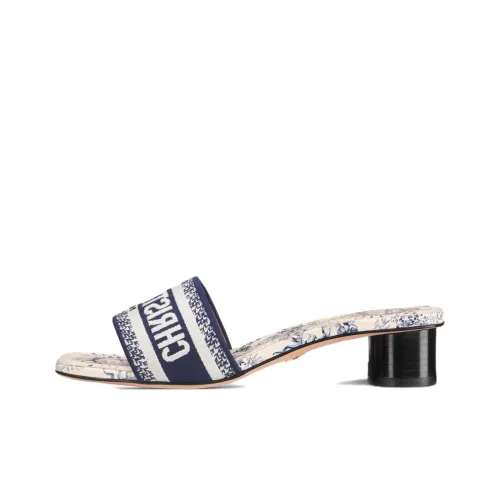 DIOR Dway Слипоны Белый и синий цвет Женские