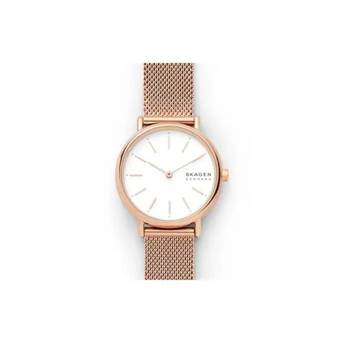 SKAGEN Наручные часы Кварцевый механизм Белый циферблат Женские часы