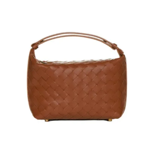 Bottega Veneta Intrecciato Кожа Одно плечо Сумка Мини Женская Коричневая