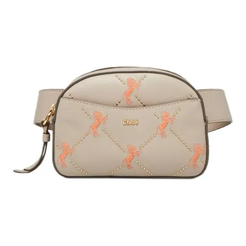 Chloé сумки Поясные сумки Женские