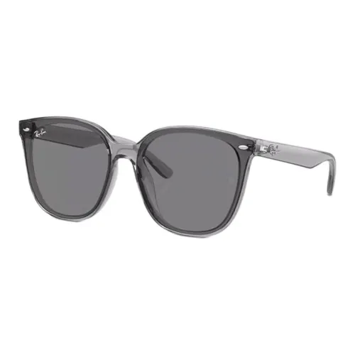 RayBan OVAL SUNGLASSES Унисекс Серый
