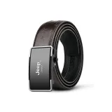 Серебряная пряжка, кофейный ремень