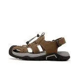 Верблюжий цвет