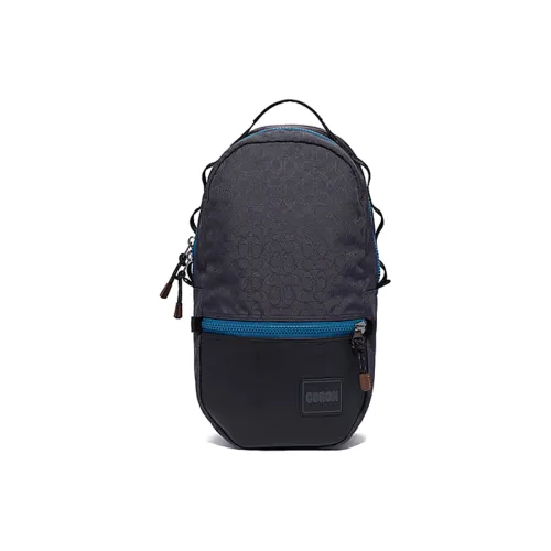 COACH Ткань Двойной Сided Рюкзак Средний Женский Синий