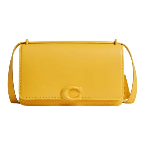 COACH Bandit Утонченный Телячья кожа Сумка через плечо Сумка на плечо Средняя Женская Серебряный Канары Цвет