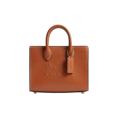 COACH Ace Коровья кожа Тоут Сумка Сумка для покупок Сумка через плечо Сумка Маленькая Женская Полированная Янтарная