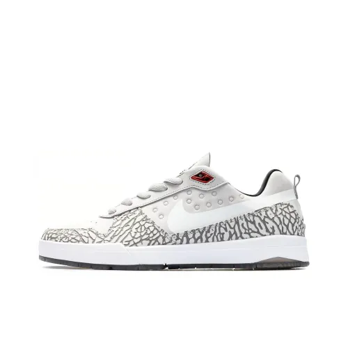 Nike Paul Rodriguez P Rod 9 Elite J Rod Low Скейтборд Кроссовки Мужские Серый Белый