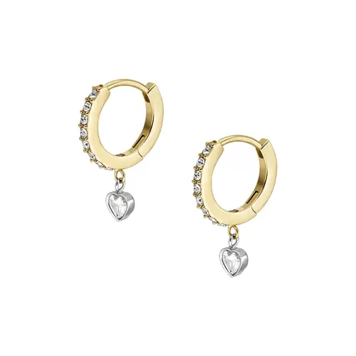 FOSSIL Нержавеющая сталь Серьги Женские Золото