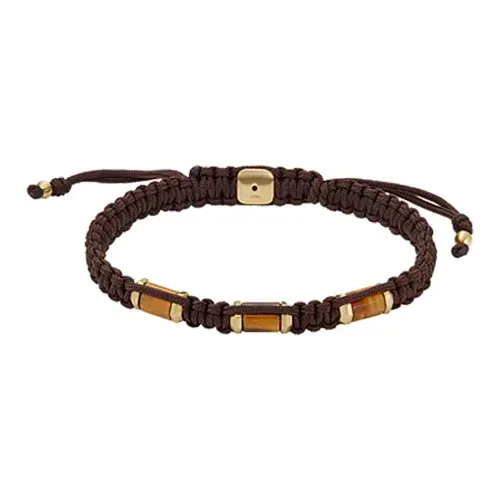 FOSSIL Нержавеющая сталь Камень Тигровый глаз Нейлон Браслеты Мужской Коричневый