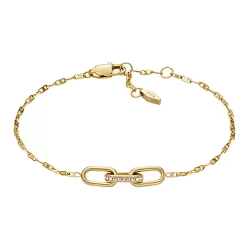 FOSSIL Нержавеющая сталь Браслеты Женские Золото