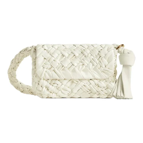 Bottega Veneta Kalimero Коровья кожа Портативная сумка через плечо сумка на плечо Женская Кость Бежевый