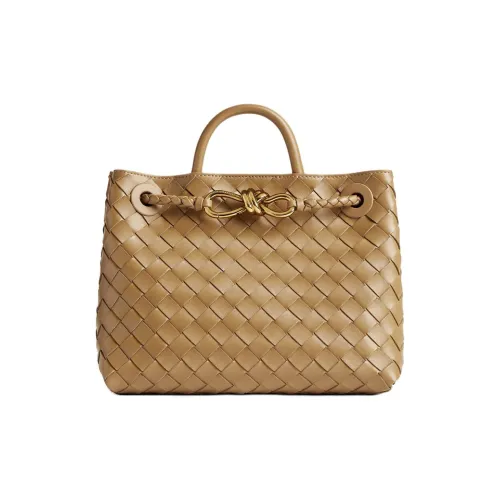 Bottega Veneta Andiamo Series Овчина Сумка через плечо Сумка Маленькая Женская Темный Орех Коричневый