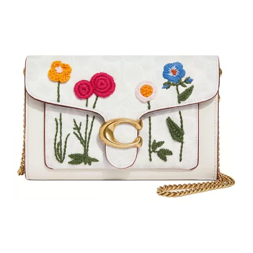 COACH Tabby Покрытый холст с телячьей кожей один плечевой через плечо клатч маленький женский мел разноцветный монограмма