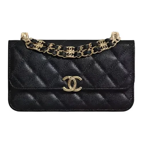 CHANEL 22K Autumn And Winter Сумки через плечо Женские