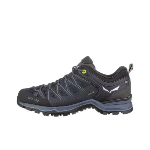 SALEWA Альпинистские и туристические ботинки Низкий верх Черный мужской