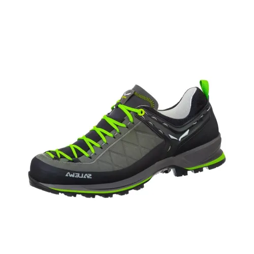 SALEWA Альпинистские и туристические ботинки Низкий верх Черный мужской