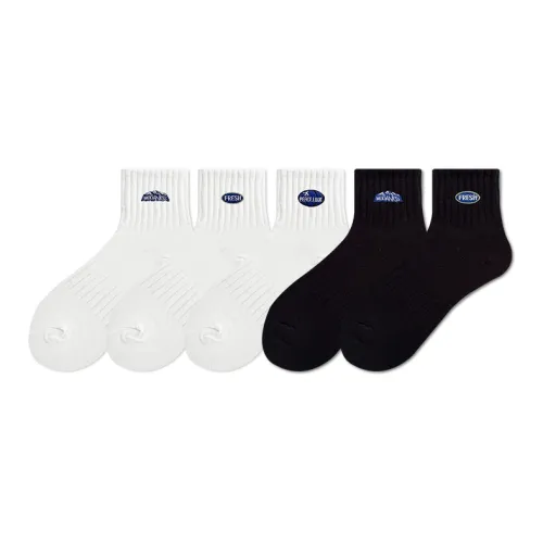 COTTON CHEESE 5 пар [13249+13251+13253+13248+13250] Мужские носки MID до икры