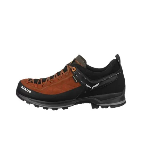 SALEWA Альпинистские и туристические ботинки Низкие Коричневые Черные Мужские