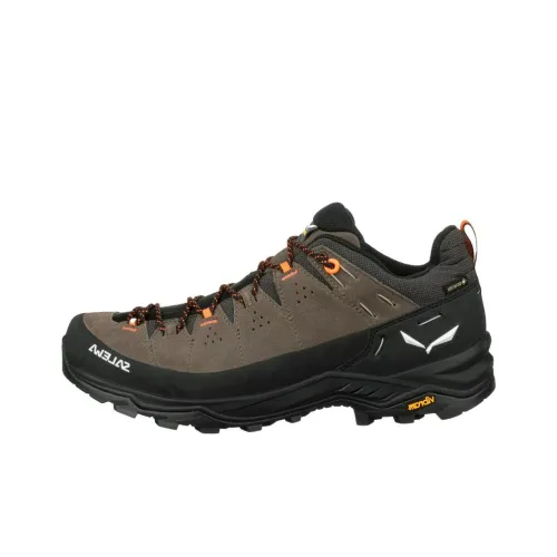 SALEWA Альпинистские и туристические ботинки Низкий верх Коричневый Мужской