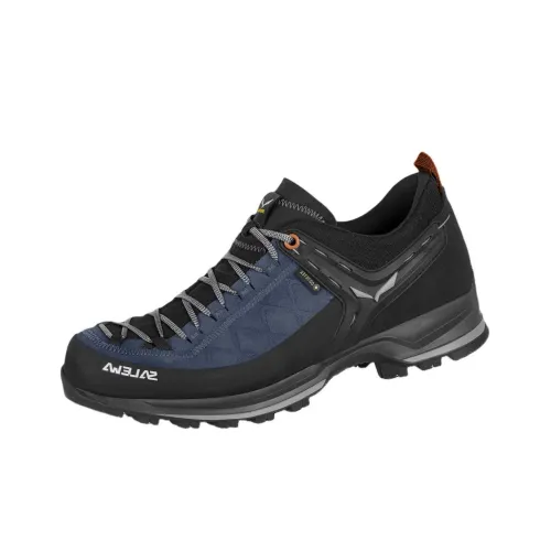SALEWA Альпинистские и туристические ботинки Низкий верх Синий Sealed/Черный мужской