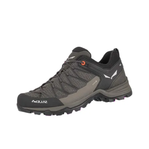 SALEWA Альпинистские и туристические ботинки Низкий верх Коричневый Мужской