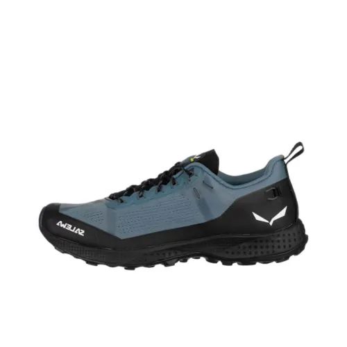 SALEWA Альпинистские и туристические ботинки Низкий верх Синий Черный Мужской