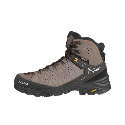 SALEWA Водонепроницаемый Устойчивый к истиранию Амортизация Crew Outdoor Мужской Коричневый Оранжевый