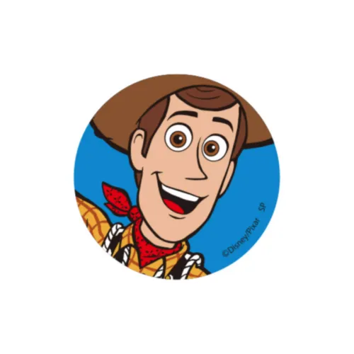 Disney Toy Story Χαραктеры Вудди Значки