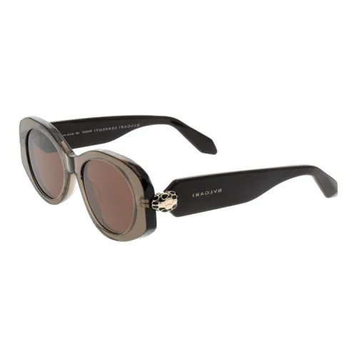 Bottega Veneta Ацетат OVAL SUNGLASSES Мужской Коричневый