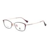 Фиолетовый Золото Цвет C03