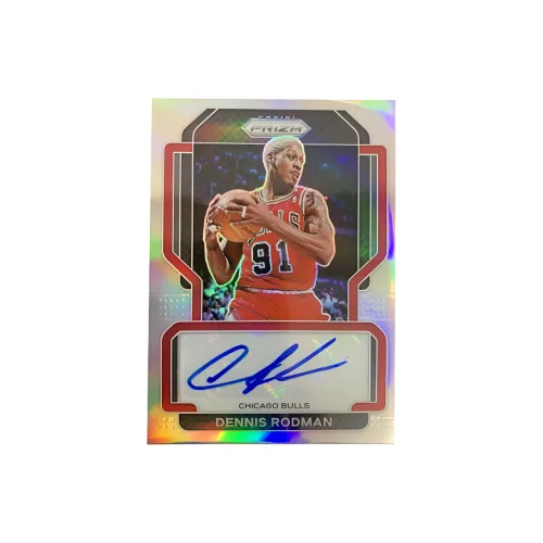 Панини Dennis RODMAN Panini Dennis RODMAN Звезда Карта Товар Спортивные карты 1 шт