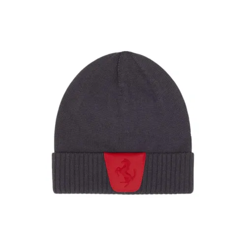 Феррари Шерсть Бини Унисекс Многоцветные