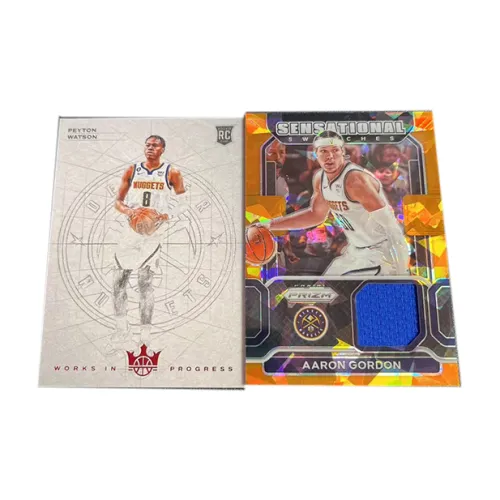 PANINI Aaron Gordon Watson Игрок Карта Товар Access Спортивные карты 2 шт