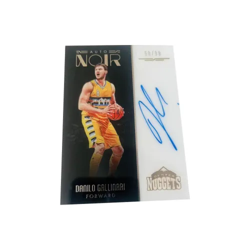 PANINI 16 17 Golden Dario Garfagnini NOIR Signature Глянцевый Basketball Card Карта Passable Спортивные карты 1 шт