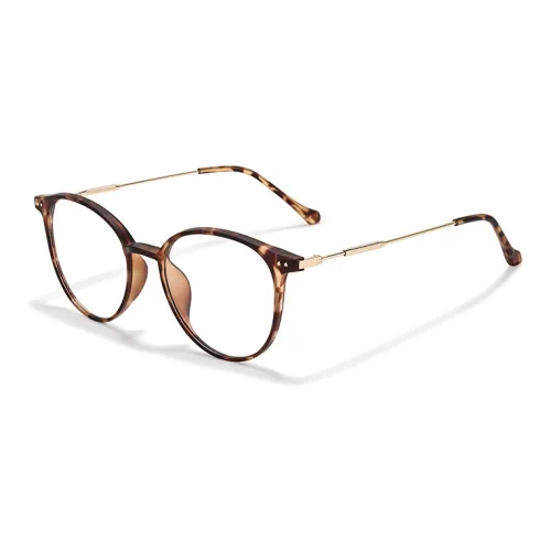 Sagawa TR Memorial Plastic Metal Round Eyeglass Frames Unisex Сагава TR Memorial Пластик Металл Круглые Оправы для очков Унисекс